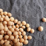 豆の「豆知識」☆　北海道で作られている「大豆」ってどんなもの？