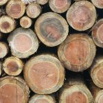 ウッドバーニングが面白そう！木製品のまち旭川の新たな楽しみに！？